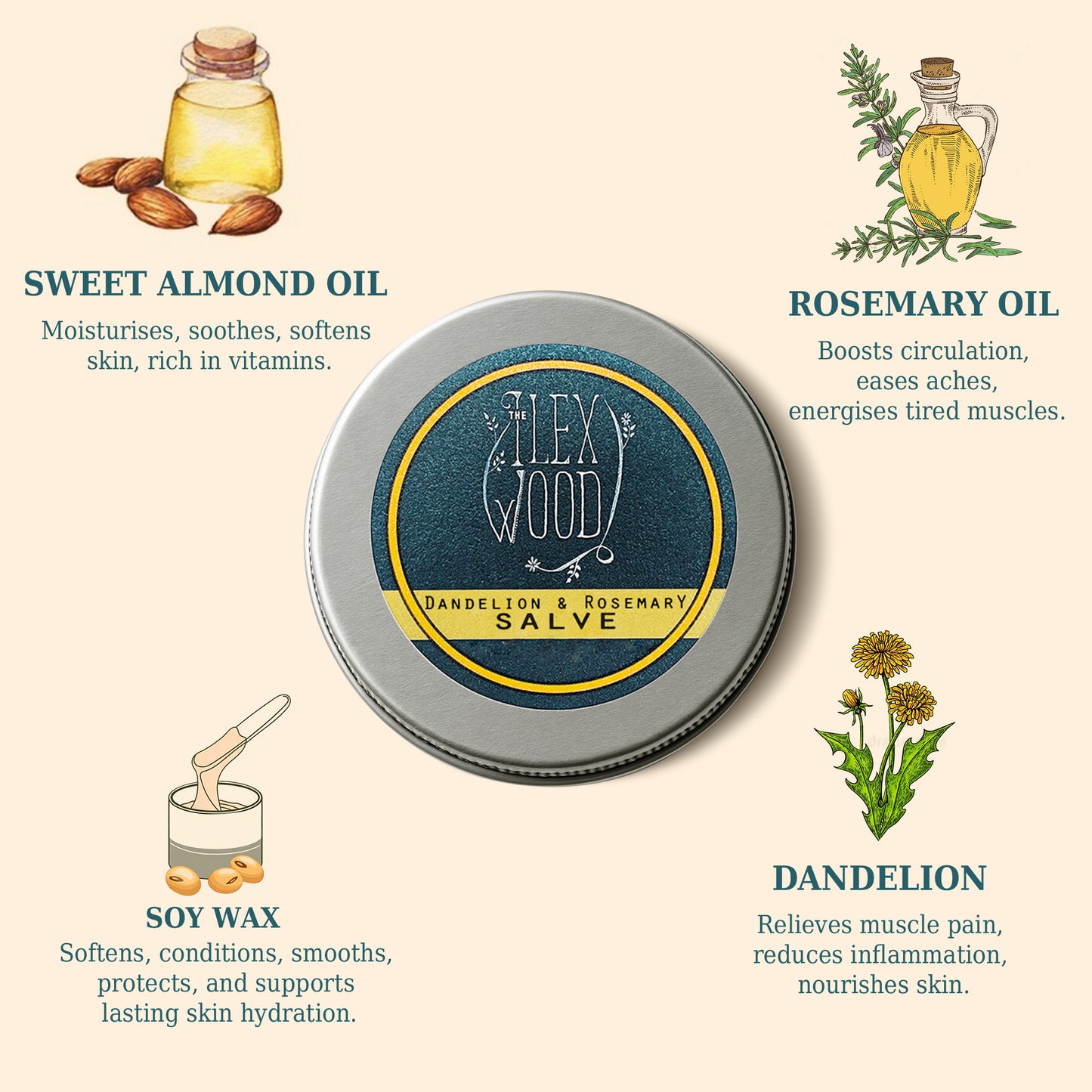 Ilex Wood dandelion and rosemary salve tin with ingredients and benefits on a beige background