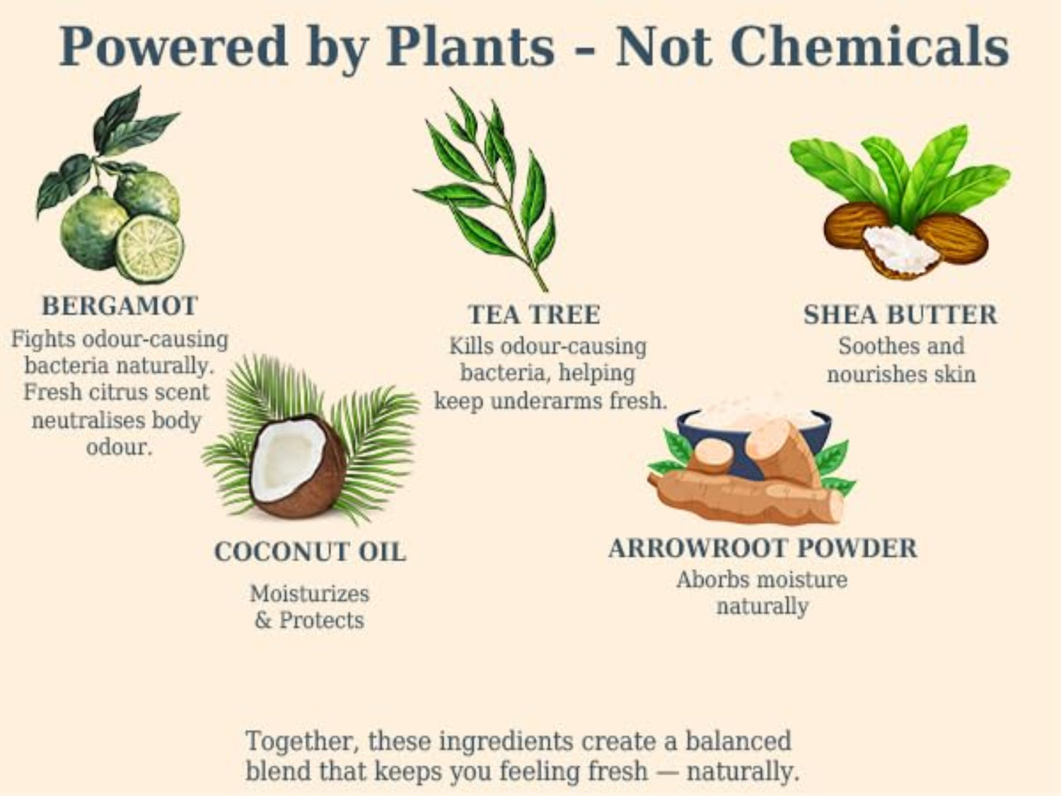 Illustration of natural ingredients used for skincare with text explaining their benefits.