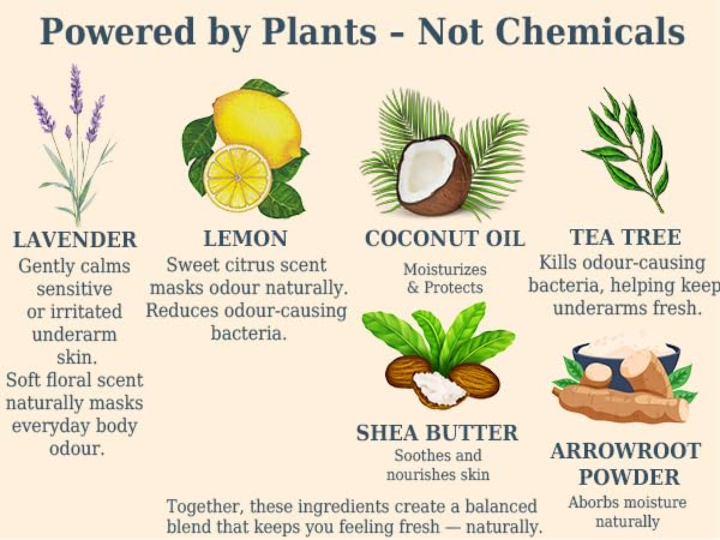 Illustration of natural ingredients like lavender, lemon, coconut oil, tea tree, shea butter, and arrowroot powder with their benefits.