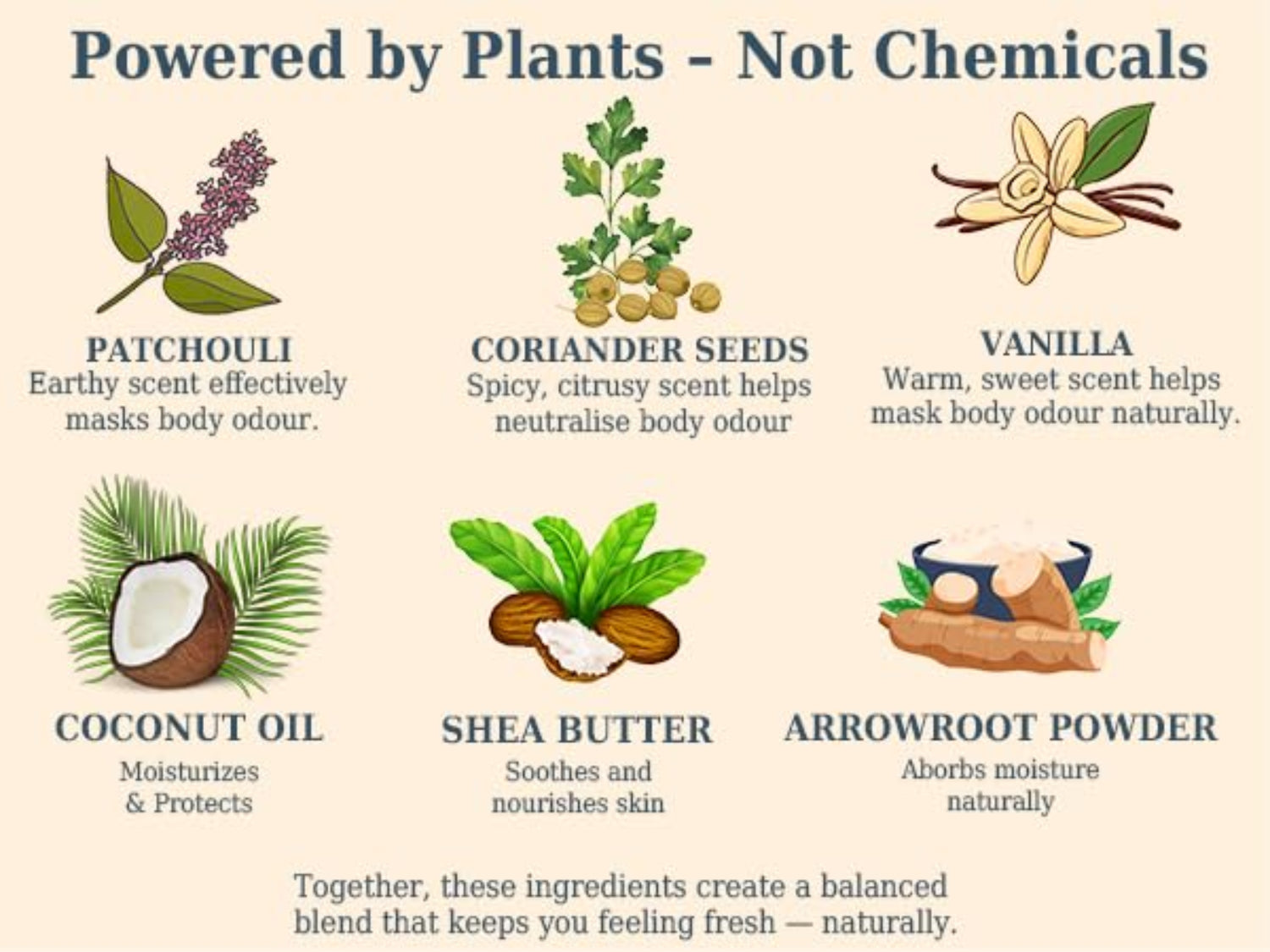 Illustration of natural ingredients for body odor management with text descriptions.