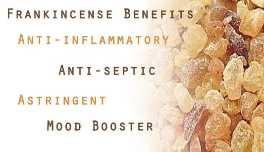 Herb Profile_ Frankincense - The Ilex Wood