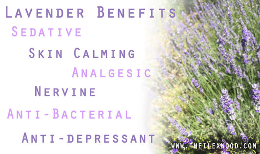 Herb Profile_ Lavender