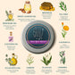Boo Boo Balm Ingredients