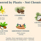 Chart of natural ingredients like ylang ylang, cedarwood, coconut oil, shea butter, and arrowroot powder with their benefits.