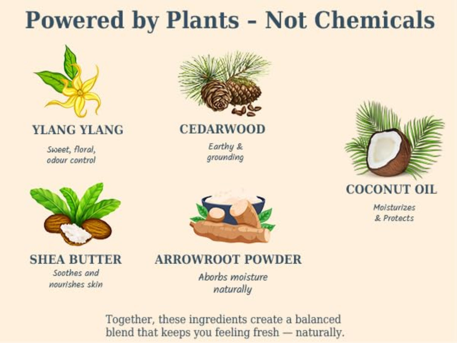 Chart of natural ingredients like ylang ylang, cedarwood, coconut oil, shea butter, and arrowroot powder with their benefits.