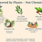 Illustration of natural ingredients used for skincare with text explaining their benefits.