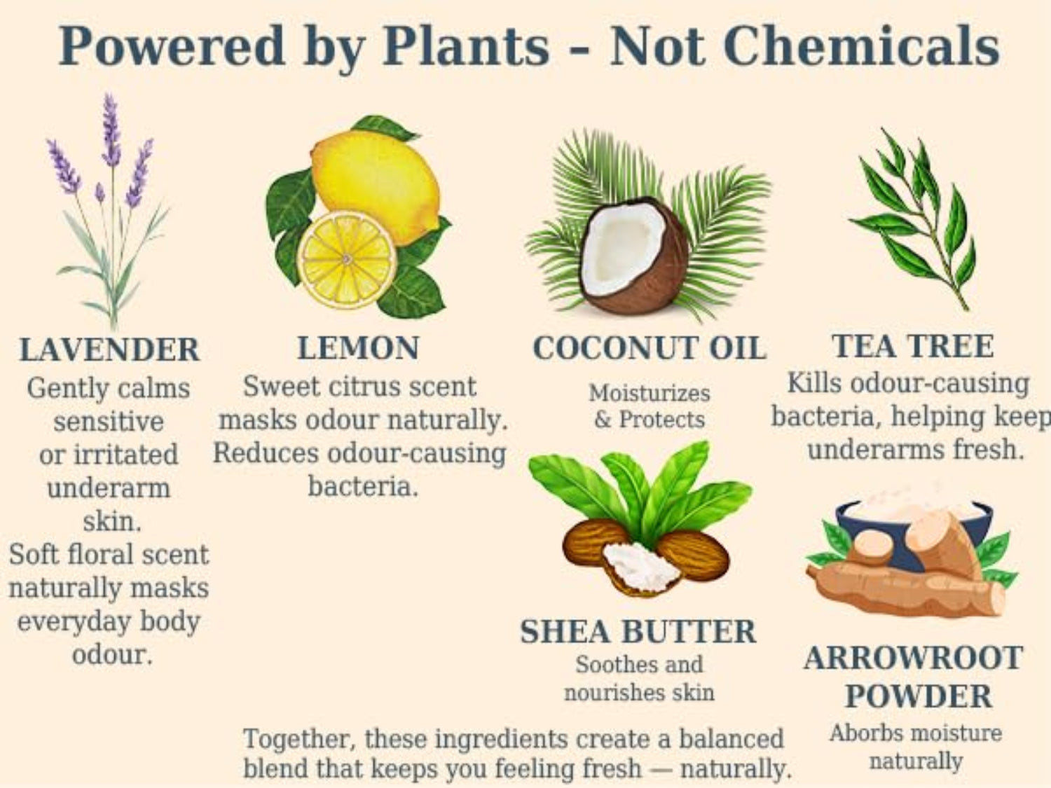 Illustration of natural ingredients like lavender, lemon, coconut oil, tea tree, shea butter, and arrowroot powder with their benefits.